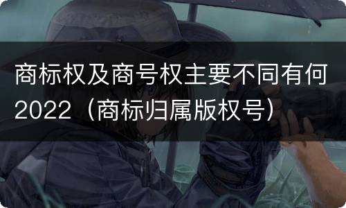 商标权及商号权主要不同有何2022（商标归属版权号）