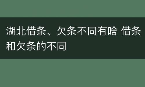 湖北借条、欠条不同有啥 借条和欠条的不同
