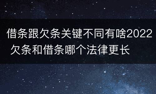 借条跟欠条关键不同有啥2022 欠条和借条哪个法律更长