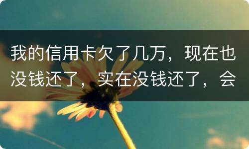 我的信用卡欠了几万，现在也没钱还了，实在没钱还了，会不会被告诈骗啊