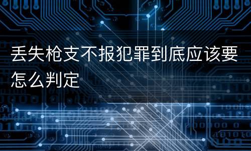 丢失枪支不报犯罪到底应该要怎么判定