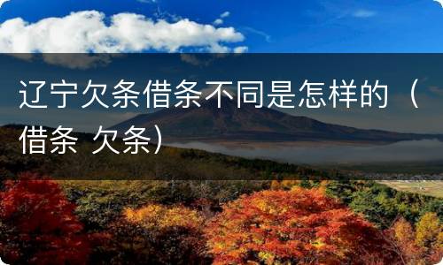辽宁欠条借条不同是怎样的（借条 欠条）