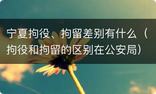 宁夏拘役、拘留差别有什么（拘役和拘留的区别在公安局）