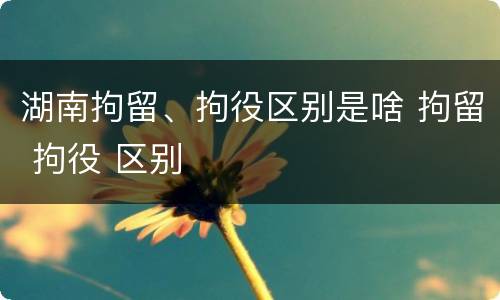 湖南拘留、拘役区别是啥 拘留 拘役 区别