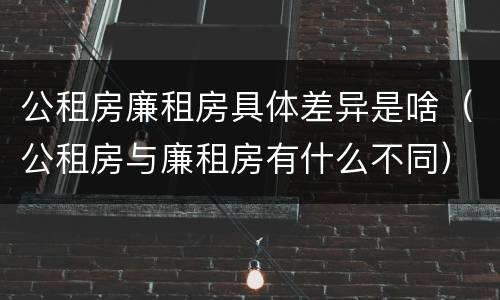 公租房廉租房具体差异是啥（公租房与廉租房有什么不同）