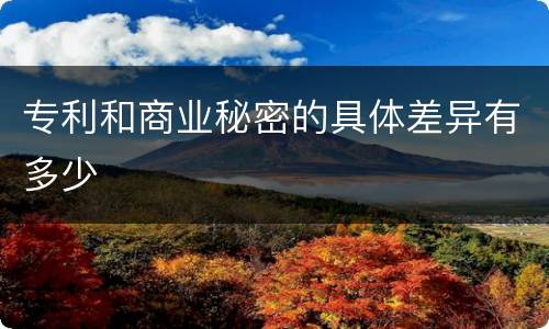 专利和商业秘密的具体差异有多少