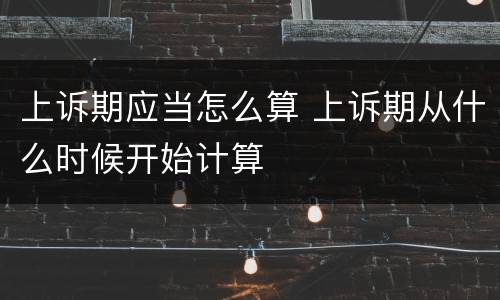 上诉期应当怎么算 上诉期从什么时候开始计算