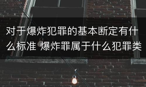 对于爆炸犯罪的基本断定有什么标准 爆炸罪属于什么犯罪类型