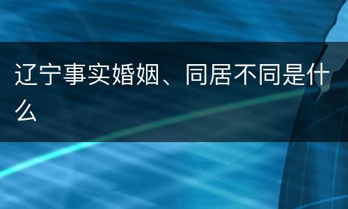 辽宁事实婚姻、同居不同是什么