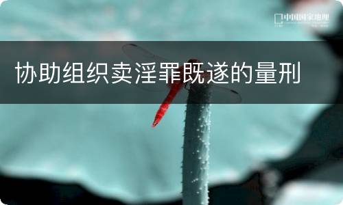 协助组织卖淫罪既遂的量刑