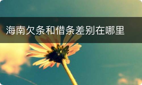 海南欠条和借条差别在哪里