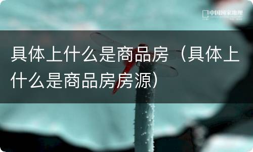 具体上什么是商品房（具体上什么是商品房房源）