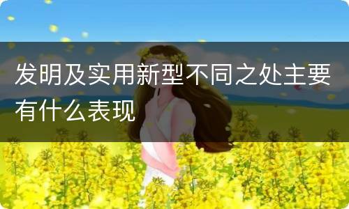 发明及实用新型不同之处主要有什么表现