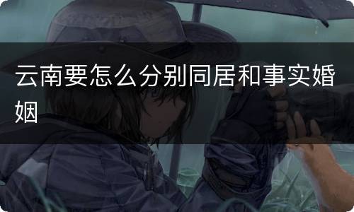云南要怎么分别同居和事实婚姻