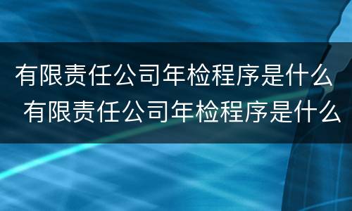 有限责任公司年检程序是什么 有限责任公司年检程序是什么