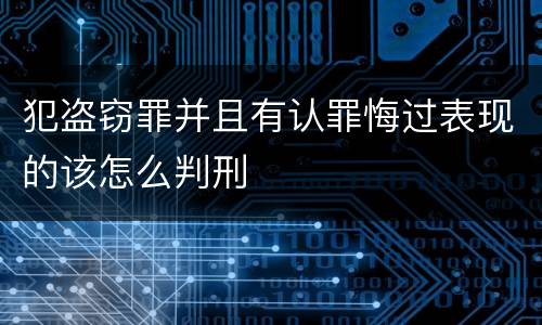 犯盗窃罪并且有认罪悔过表现的该怎么判刑