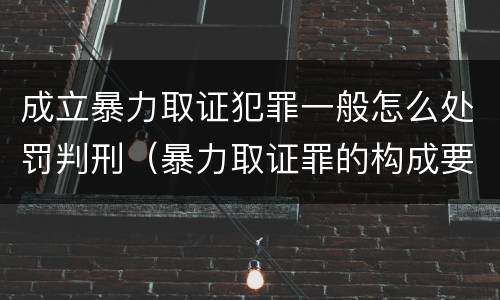 成立暴力取证犯罪一般怎么处罚判刑（暴力取证罪的构成要件）
