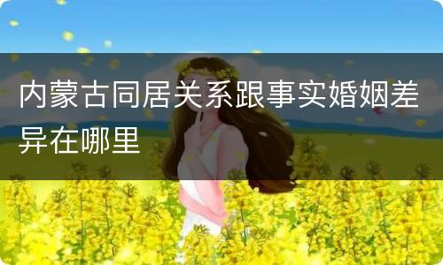 内蒙古同居关系跟事实婚姻差异在哪里