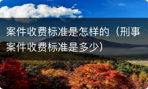 案件收费标准是怎样的（刑事案件收费标准是多少）
