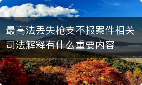 最高法丢失枪支不报案件相关司法解释有什么重要内容