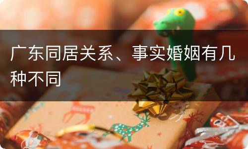 广东同居关系、事实婚姻有几种不同