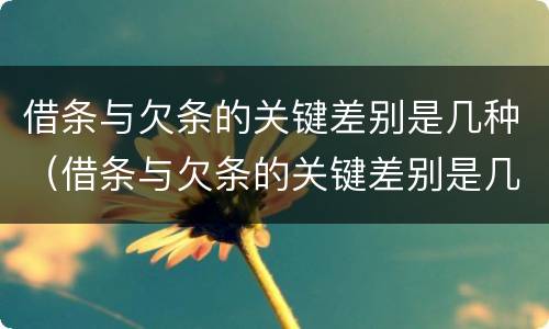 借条与欠条的关键差别是几种（借条与欠条的关键差别是几种情形）
