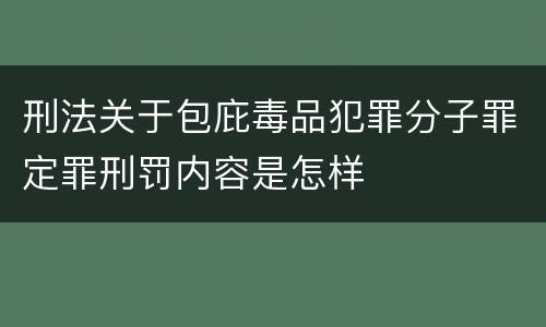 刑法关于包庇毒品犯罪分子罪定罪刑罚内容是怎样