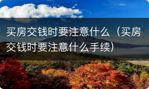 买房交钱时要注意什么（买房交钱时要注意什么手续）