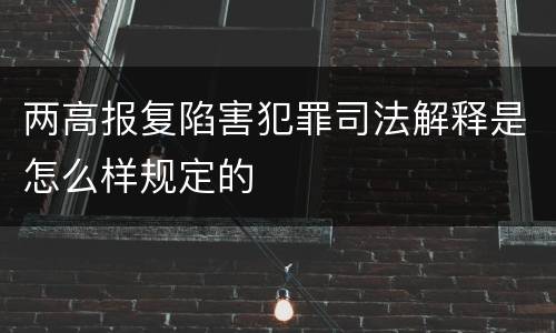 两高报复陷害犯罪司法解释是怎么样规定的