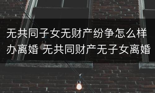 无共同子女无财产纷争怎么样办离婚 无共同财产无子女离婚需要什么