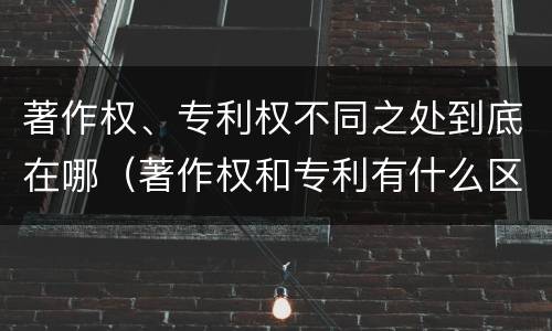 著作权、专利权不同之处到底在哪（著作权和专利有什么区别）
