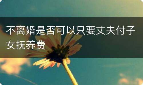 不离婚是否可以只要丈夫付子女抚养费
