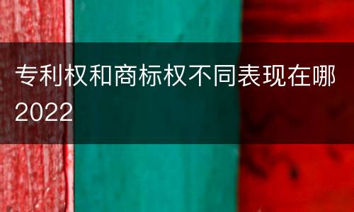 专利权和商标权不同表现在哪2022