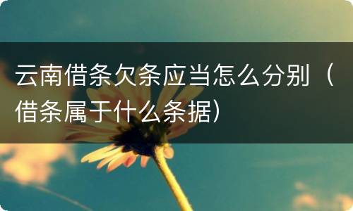 云南借条欠条应当怎么分别（借条属于什么条据）