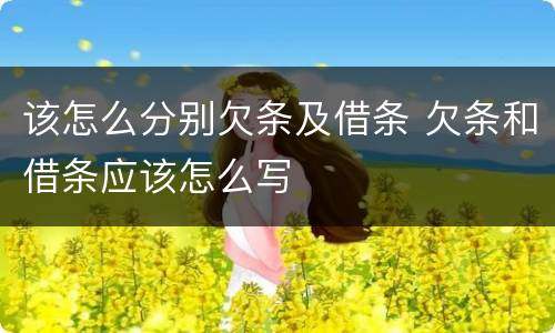 该怎么分别欠条及借条 欠条和借条应该怎么写