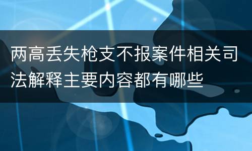 两高丢失枪支不报案件相关司法解释主要内容都有哪些