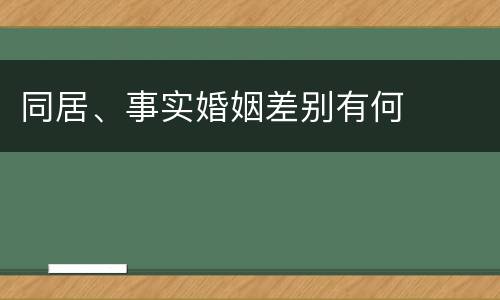 同居、事实婚姻差别有何