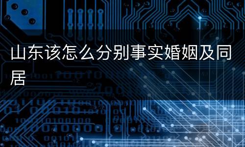 山东该怎么分别事实婚姻及同居
