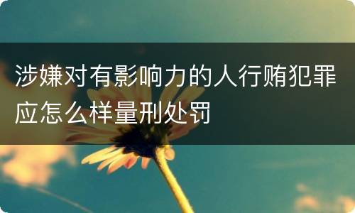 涉嫌对有影响力的人行贿犯罪应怎么样量刑处罚
