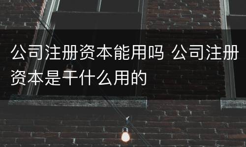 公司注册资本能用吗 公司注册资本是干什么用的