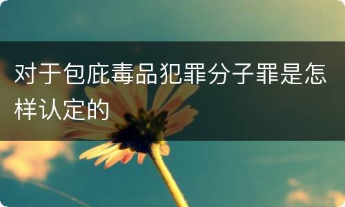 对于包庇毒品犯罪分子罪是怎样认定的