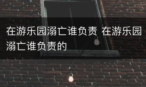 在游乐园溺亡谁负责 在游乐园溺亡谁负责的