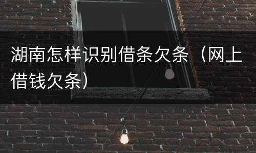 湖南怎样识别借条欠条（网上借钱欠条）