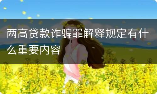 两高贷款诈骗罪解释规定有什么重要内容