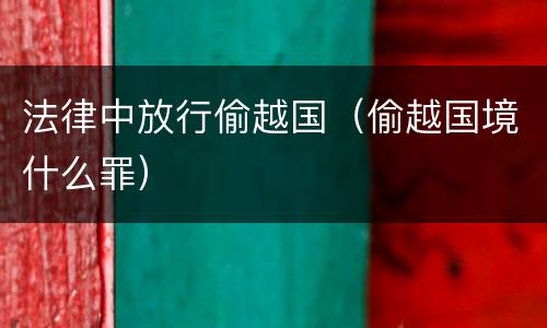 法律中放行偷越国（偷越国境什么罪）