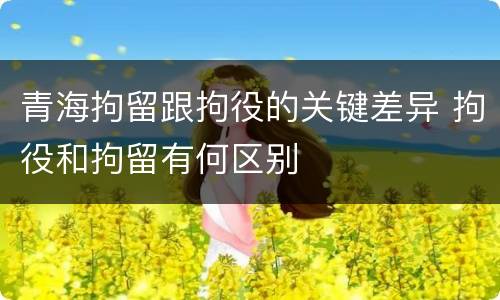 青海拘留跟拘役的关键差异 拘役和拘留有何区别