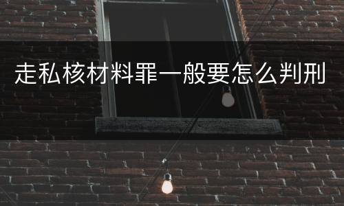 走私核材料罪一般要怎么判刑