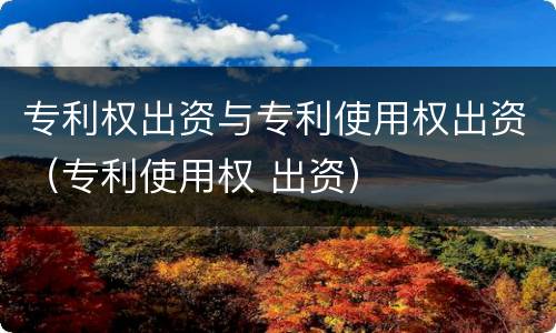 专利权出资与专利使用权出资（专利使用权 出资）