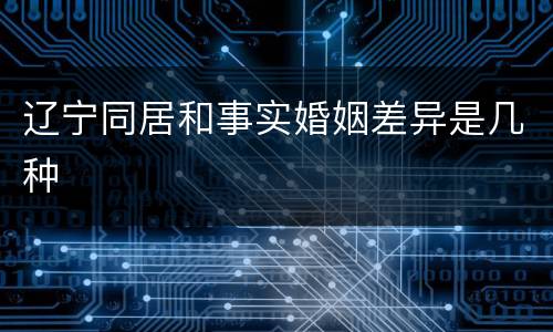 辽宁同居和事实婚姻差异是几种