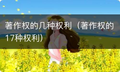 著作权的几种权利（著作权的17种权利）